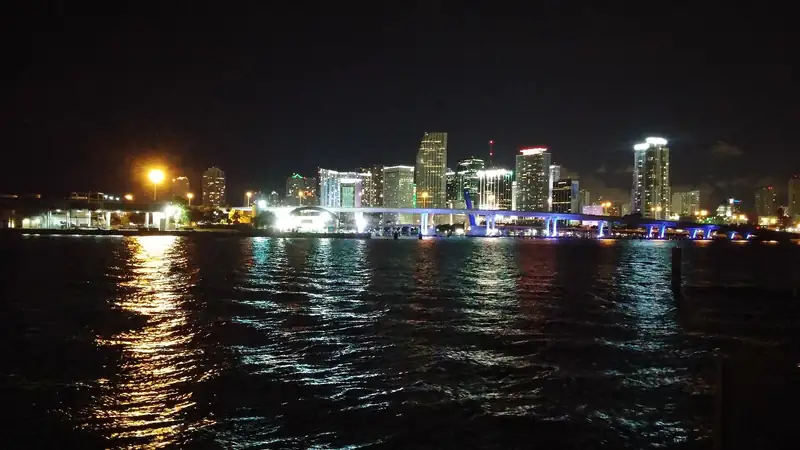 Miami night skyline by Don Ramey Logan